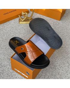 Brown lv slide